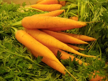 Морковь защитит стариков от слепоты