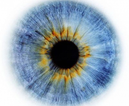 40 фактов о глазах, которые вы, возможно, еще не знаете